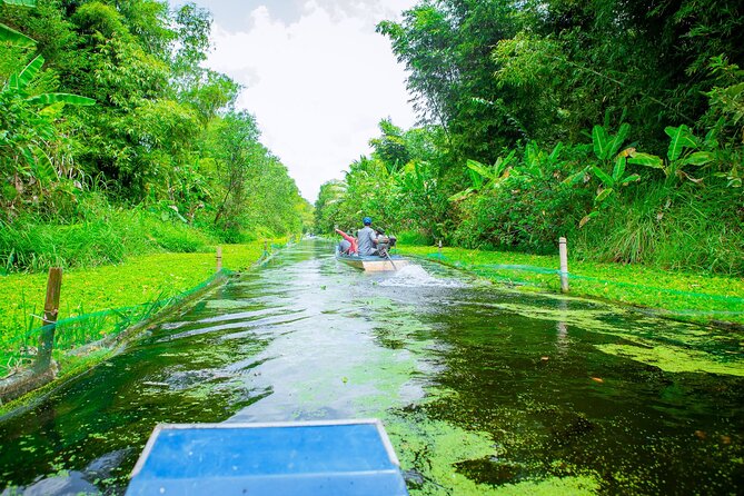 Southern Forest Tour – Explore Hau Giang Nature - Long-tail boat into Lung Ngọc Hoàng: the part you’ll remember