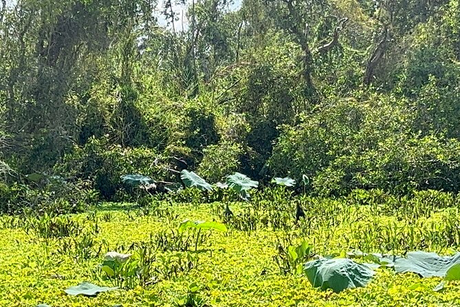 Tan Lap Floating Village Authentic Mekong Delta Nature Tour - Why Tan Lap Feels Different Than Typical Mekong Days