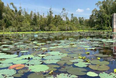 Tan Lap Floating Village Authentic Mekong Delta Nature Tour - Getting There From Ho Chi Minh City: A Real Full-Day Commitment