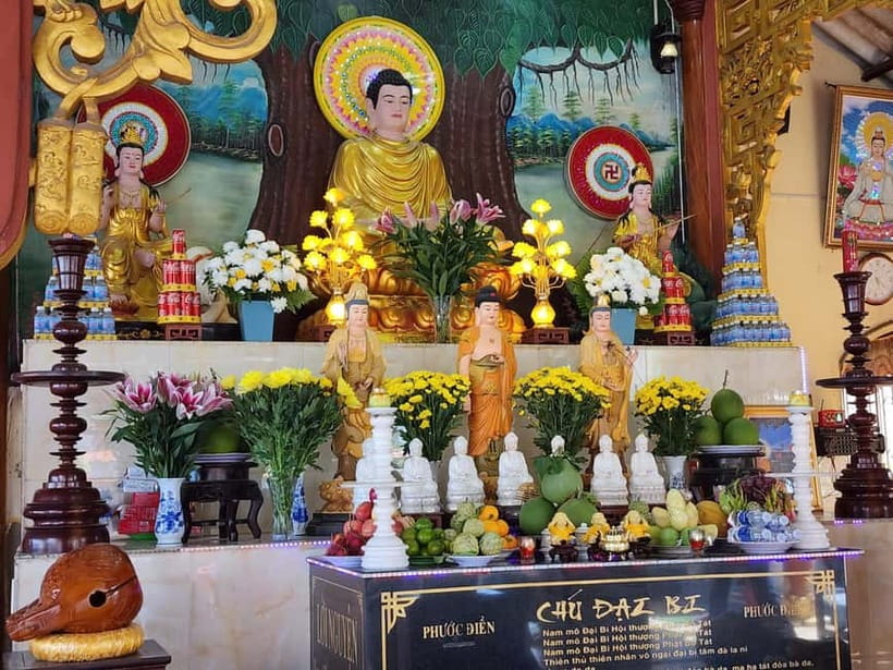 VIP Tour Authentic Mekong Delta & Local pagoda by SpeedBoat - Southern folk music (Don Ca Tai Tu) and why it fits the day