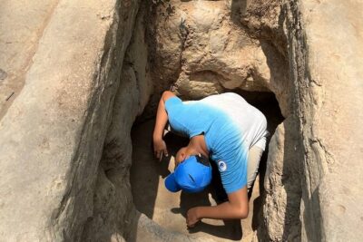 VIP Tour: Cu Chi Tunnels & Mekong Delta 1 Day | Shooting Guns - Lunch, Mineral Water, Fruit, and Honey Tea: Included Comfort That Matters