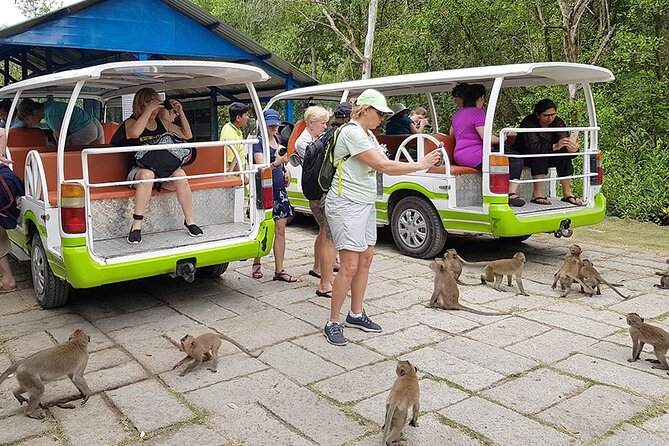 VIP Tour in Vam Sat: Can Gio Mangrove Forest by SpeedBoat - Cruising the Saigon River: the warm-up section that matters