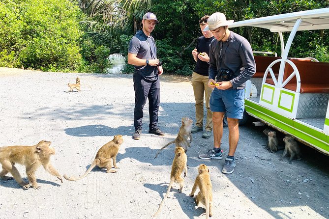 VIP Tour in Vam Sat: Can Gio Mangrove Forest by SpeedBoat - Timing, boat comfort, and what to wear (so you’re not miserable)