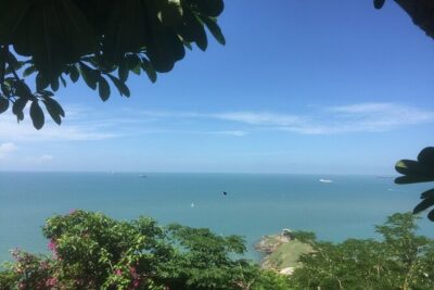 Vung Tau Beach full day tour from Ho Chi Minh City - Getting there: the 8:00 AM start and the ride through rice and rubber
