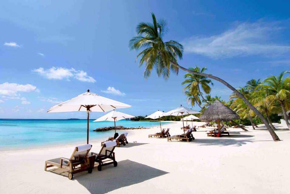 Vung Tau Beach Private Day-Tour - Should you book Vung Tau Beach Private Day-Tour?